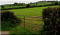 Rusty field gate, Llanddewi Rhydderch, Monmouthshire