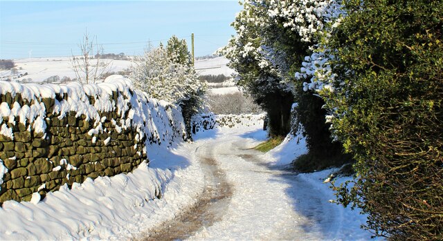 Track near Greave House Farm