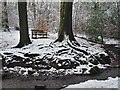 Cold bench by a stream in Ecclesall Woods