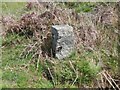 Old Boundary Marker west of Carne Down