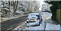 Aftermath of heavy snowfall on steep hill