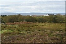 M0421 : Rough grassland, Cor Na Ron Middle by N Chadwick