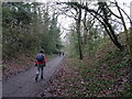 Castlecroft Bridge Approach