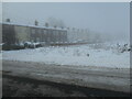 Snow and freezing fog, Westfield View