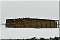 Bush Green: Large stock of baled straw at North Farm