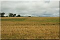 SE2554 : Arable field at Prospect Farm by Graham Robson
