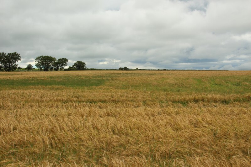 Arable field at Prospect Farm © Graham Robson cc-by-sa/2.0 :: Geograph ...