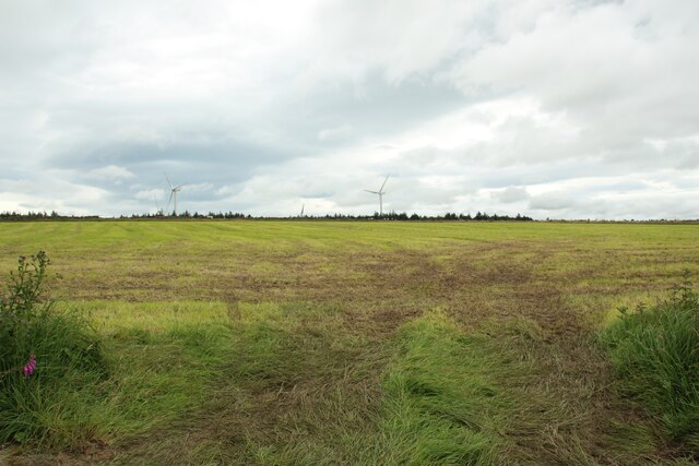 Grass field east of Long Liberty Farm
