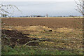 Farmland north of Thame Lane