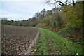 Footpath along field boundary