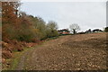 Footpath along field boundary