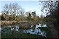 Flooding in Heworth Holme