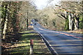 A36 past the end of Bricky Lake Lane