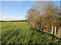 Posts for a new fence and stile