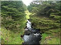 NG4027 : An unnamed stream in Glen Brittle Forest by David Medcalf