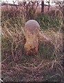 Old Milestone, on the B1251