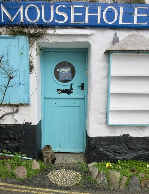 Matilda, a Mousehole cat