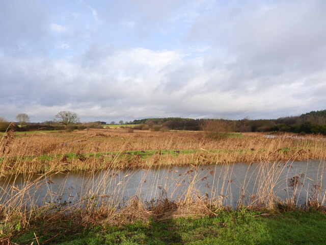 Boggy area near Ebridge Mill © David Pashley cc-by-sa/2.0 :: Geograph ...