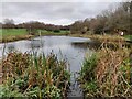 Top Pool at the Warrens Hall Local Nature Reserve