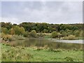 Lake on lower Apedale