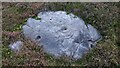 NN8245 : Cup and ring marked stone on Craig Hill by Sandy Gerrard