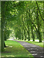 Birkenhead Park, Birkenhead (1)