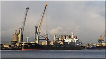 J3576 : The 'Budva' at Belfast by Rossographer
