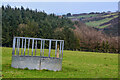 Ilfracombe : Grassy Field