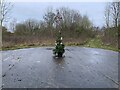 SJ7948 : Christmas tree on capped mineshaft by Jonathan Hutchins