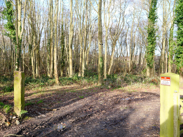 Scrub Woodland from no entry open gate
