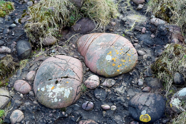 Conglomerate rocks (close up) at Todhead Point