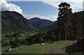 NY2413 : Borrowdale above Seatoller by Philip Halling