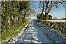 H5174 : Snow, Rushill Road by Kenneth  Allen