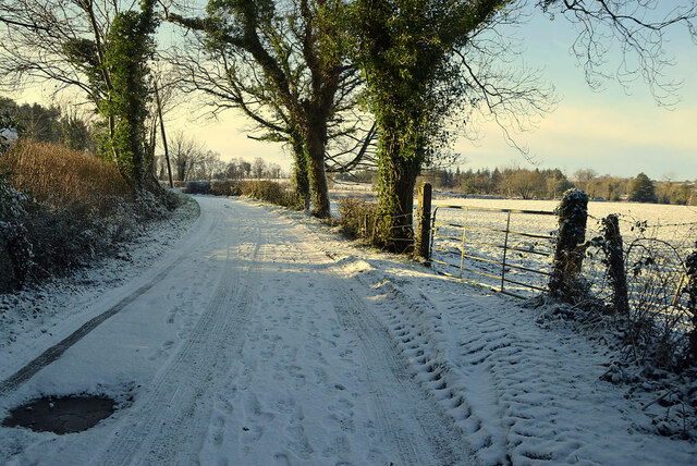 Rushill Road, Racolpa © Kenneth Allen :: Geograph Ireland