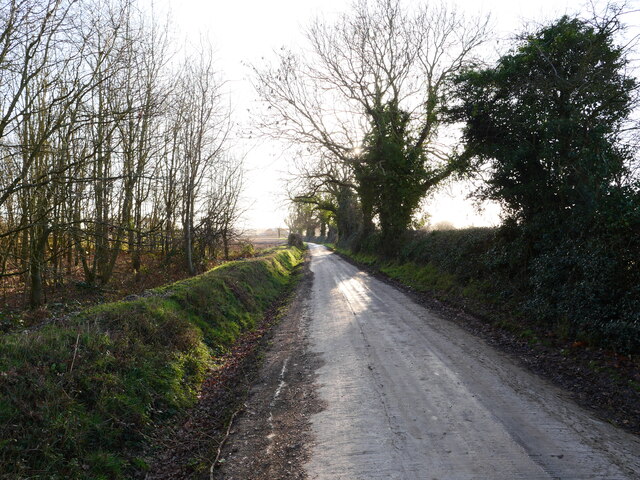 Looking down track to River Farm