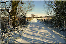 H5274 : Snow, Crocknacor Road by Kenneth  Allen