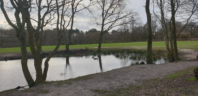 Pond near Main Drive, Trent Park © Christine Matthews cc-by-sa/2.0 ...