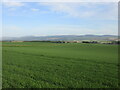 Large field above Findowrie