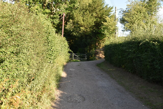 Footpath to River Medway
