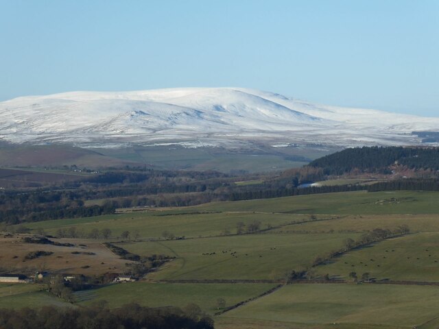 The Cheviot from Cloudy Crags Drive