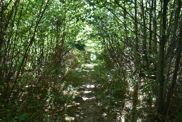 Narrow footpath, Sandhole Wood