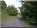 Footpath into Gower Hey Wood