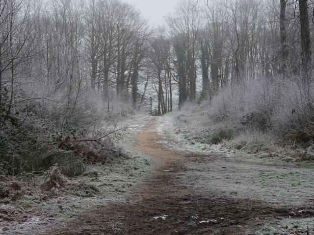 Frosty track