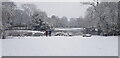 Winter in Moseley Park & Pool