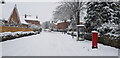 Forest Road in Snow