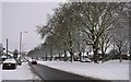 Snowy Kingstanding 3 - North Birmingham