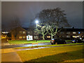 Trees on Monksfield, Three Bridges, Crawley