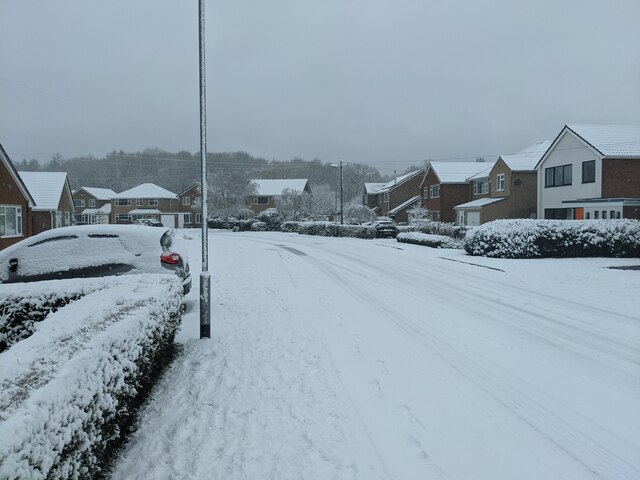 Beech Avenue © Bob Harvey cc-by-sa/2.0 :: Geograph Britain and Ireland