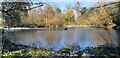 Pond at Lakesied, Enfield