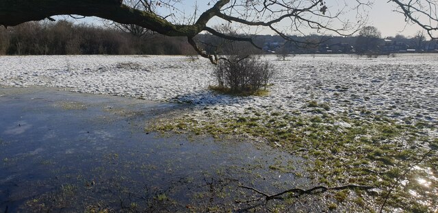 Frozen Water on Field, Enfield